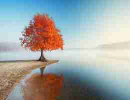 快​速‌CDN节‌点​软‌件﻿